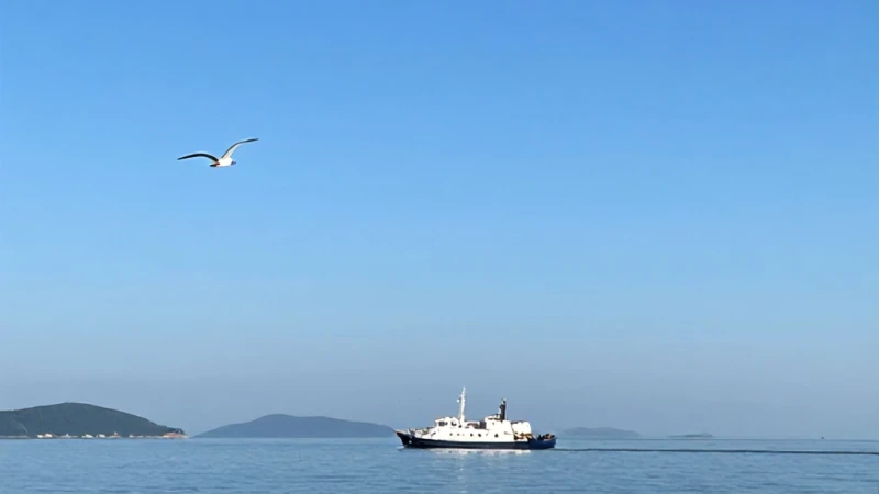 Denizcilik ve Kaptanlık